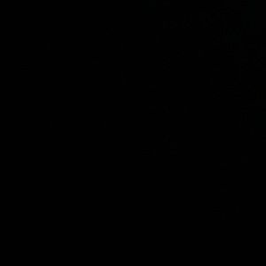 Meet your Posher, Logan